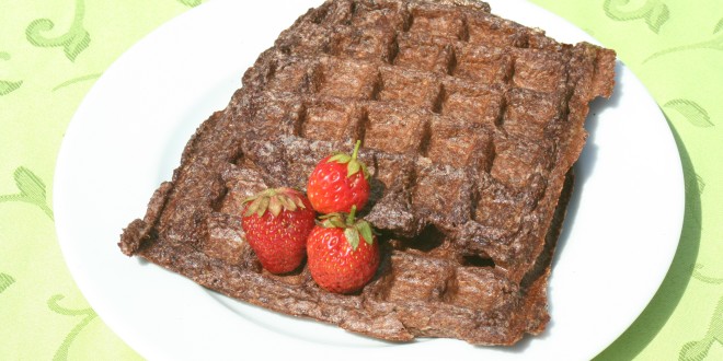 Low Carb Waffeln (Schoko-Kokos)